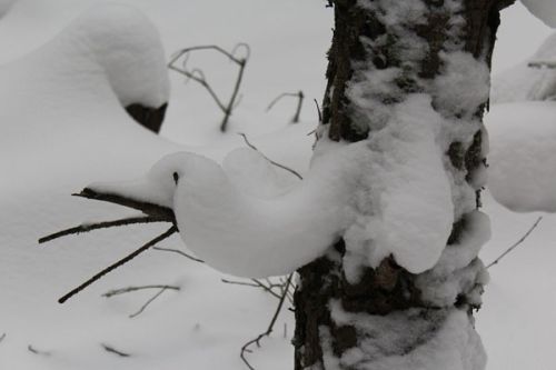 a-forest-escapade-with-a-snowman-experiment-and-odd-snow-figures13