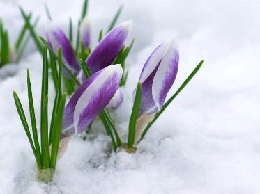 1 березня — початок весни
