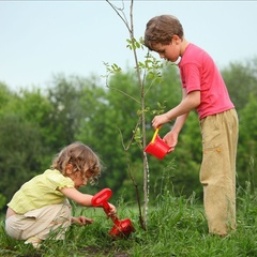 Як забезпечити екологічне виховання: поради батькам
